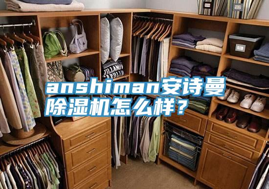 anshiman安詩曼除濕機怎么樣？