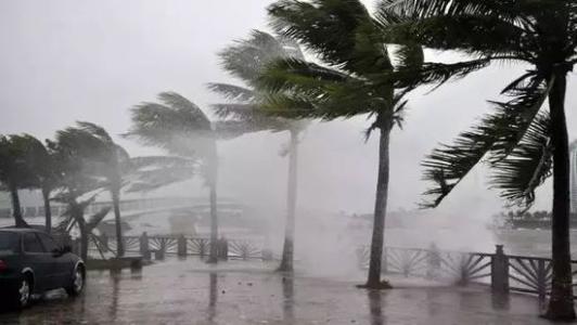 8月臺風(fēng)雨即將來，除濕機還得用起來