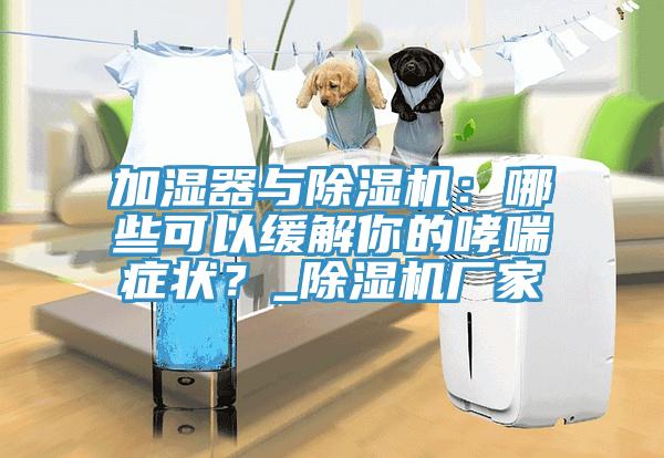 加濕器與除濕機(jī)：哪些可以緩解你的哮喘癥狀？_除濕機(jī)廠家