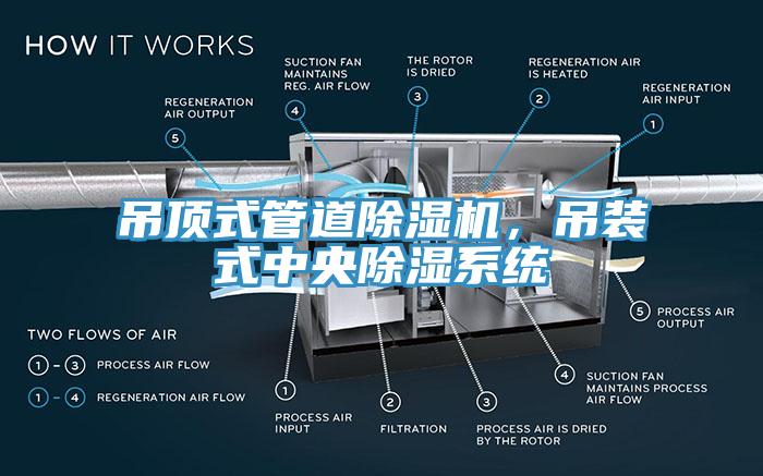 吊頂式管道除濕機，吊裝式中央除濕系統(tǒng)