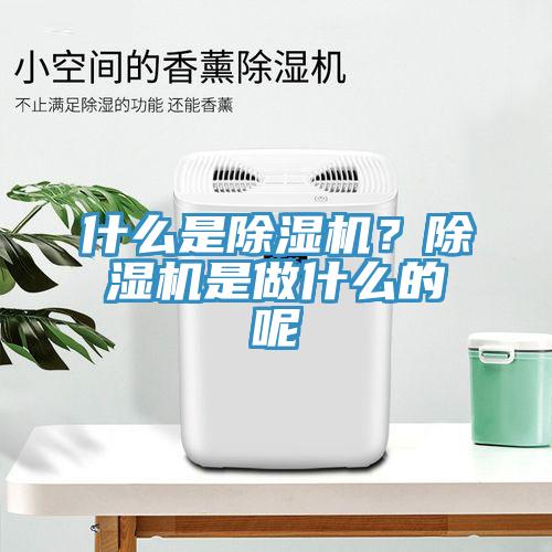 什么是除濕機(jī)？除濕機(jī)是做什么的呢