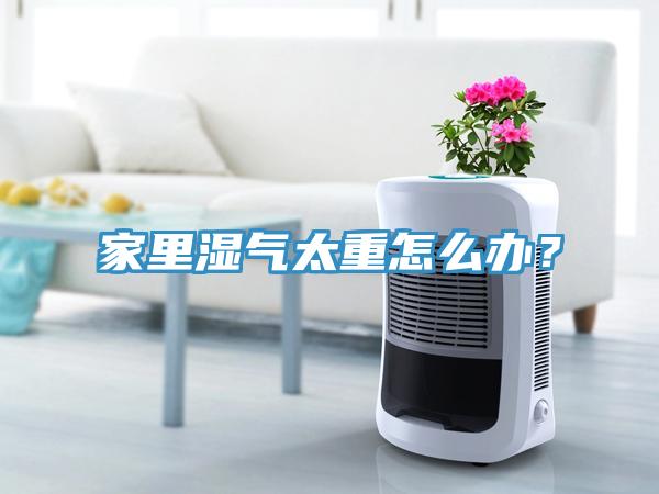 家里濕氣太重怎么辦？