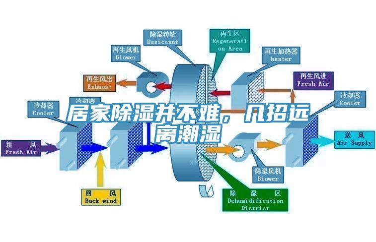 居家除濕并不難，幾招遠(yuǎn)離潮濕