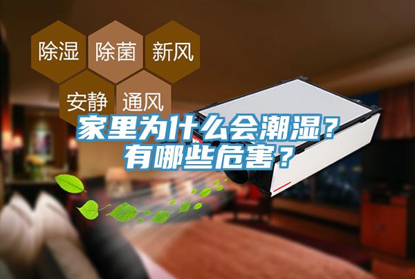 家里為什么會(huì)潮濕？有哪些危害？