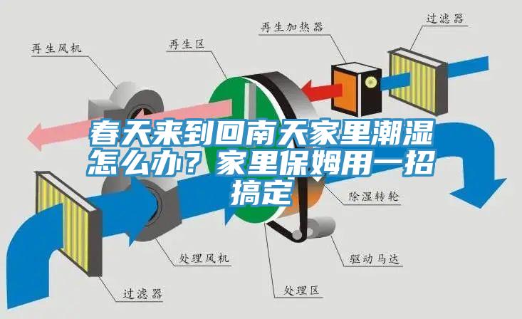 春天來到回南天家里潮濕怎么辦？家里保姆用一招搞定