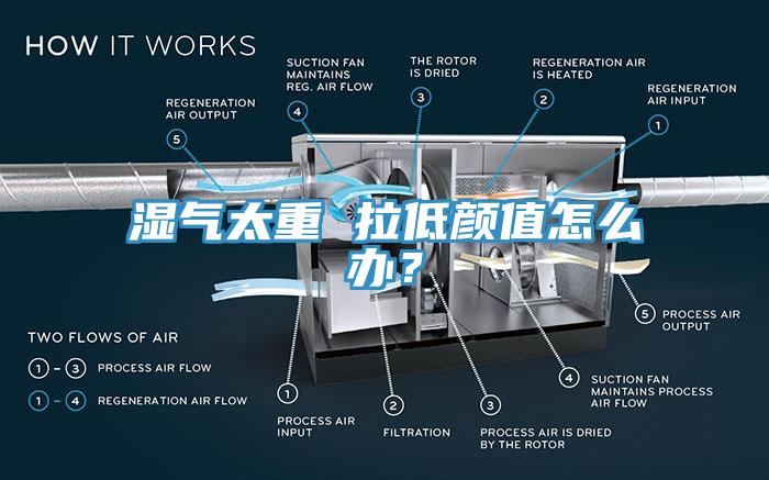 濕氣太重 拉低顏值怎么辦？