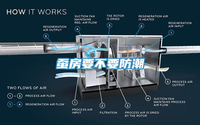 蠶房要不要防潮