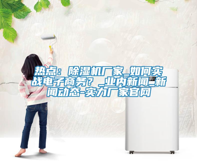 熱點：除濕機廠家_如何實戰(zhàn)電子商務？_業(yè)內(nèi)新聞_新聞動態(tài)-實力廠家官網(wǎng)