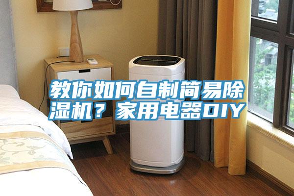 教你如何自制簡易除濕機？家用電器DIY