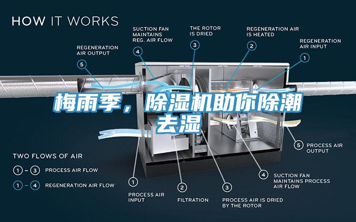 梅雨季，除濕機(jī)助你除潮去濕