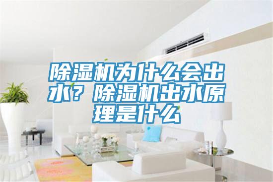 除濕機(jī)為什么會出水？除濕機(jī)出水原理是什么