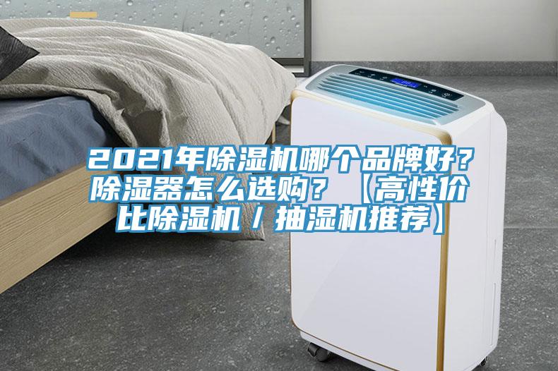 2021年除濕機(jī)哪個(gè)品牌好？除濕器怎么選購(gòu)？【高性價(jià)比除濕機(jī)／抽濕機(jī)推薦】