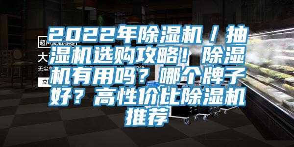 2022年除濕機(jī)／抽濕機(jī)選購(gòu)攻略！除濕機(jī)有用嗎？哪個(gè)牌子好？高性價(jià)比除濕機(jī)推薦