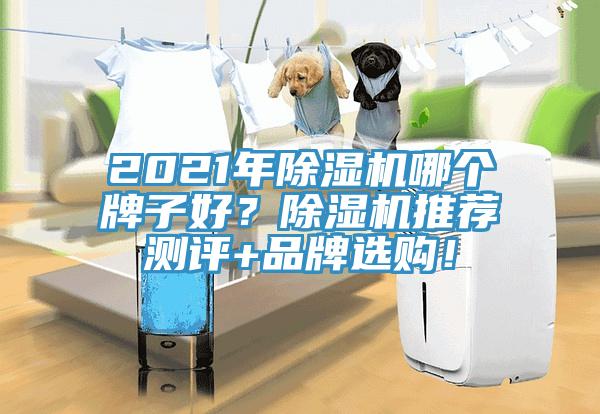 2021年除濕機(jī)哪個(gè)牌子好？除濕機(jī)推薦測(cè)評(píng)+品牌選購(gòu)！