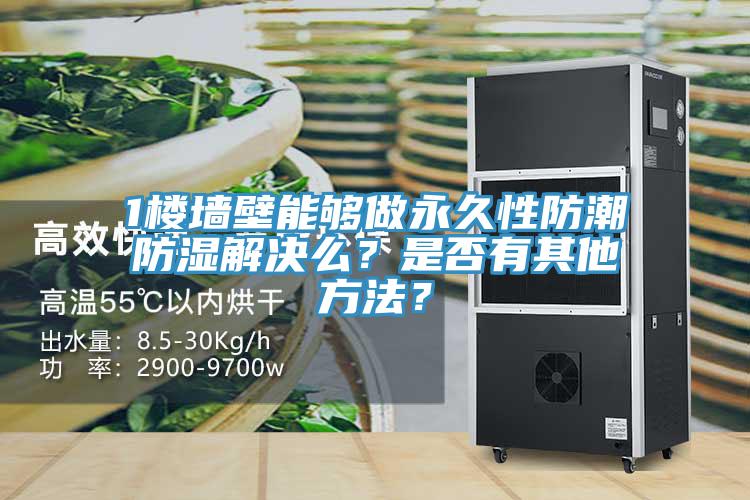 1樓墻壁能夠做永久性防潮防濕解決么？是否有其他方法？