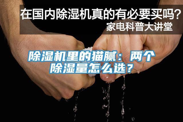 除濕機里的貓膩：兩個除濕量怎么選？