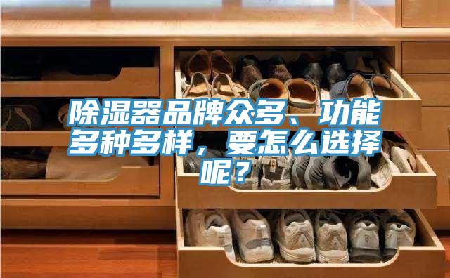 除濕器品牌眾多、功能多種多樣，要怎么選擇呢？