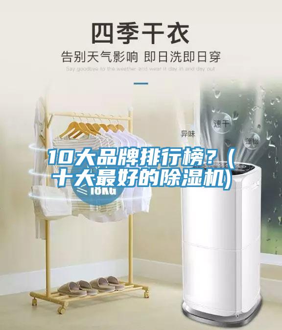 10大品牌排行榜？(十大最好的除濕機(jī))