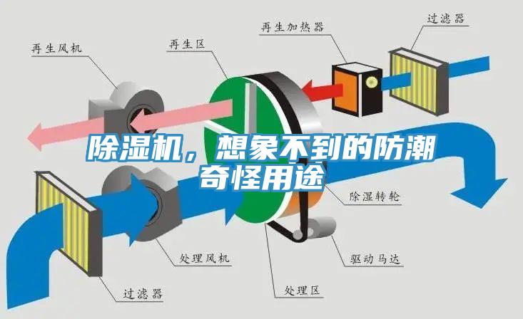 除濕機(jī)，想象不到的防潮奇怪用途