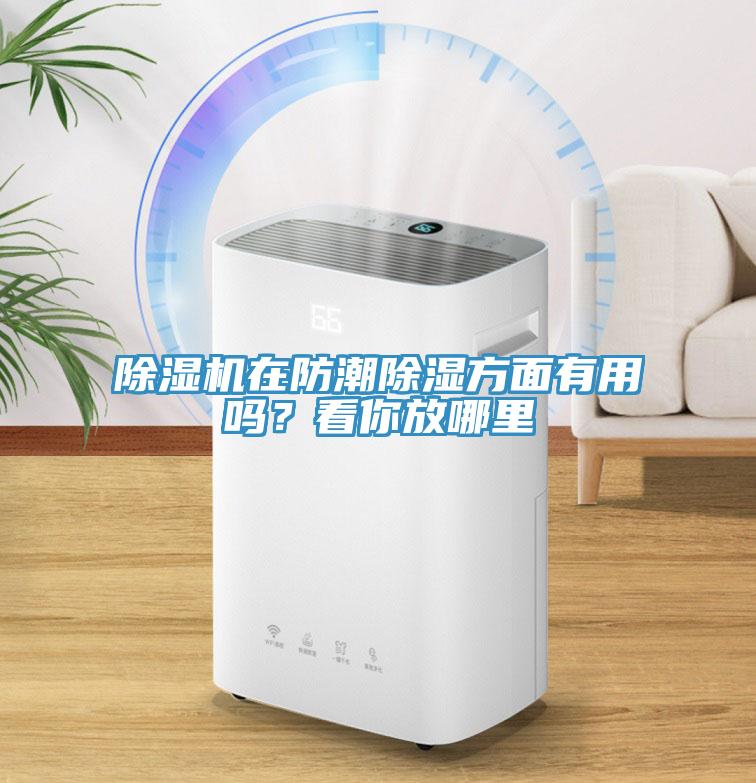 除濕機在防潮除濕方面有用嗎？看你放哪里