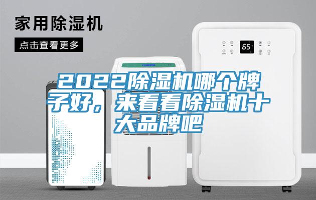 2022除濕機(jī)哪個(gè)牌子好，來看看除濕機(jī)十大品牌吧