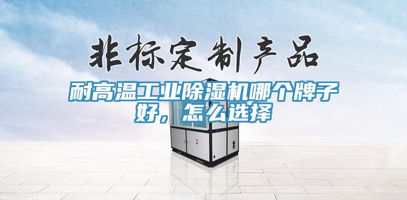 耐高溫工業(yè)除濕機(jī)哪個(gè)牌子好，怎么選擇