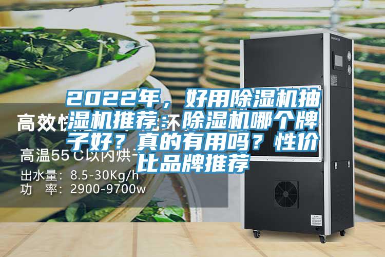 2022年，好用除濕機(jī)抽濕機(jī)推薦：除濕機(jī)哪個(gè)牌子好？真的有用嗎？性價(jià)比品牌推薦