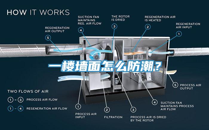 一樓墻面怎么防潮？