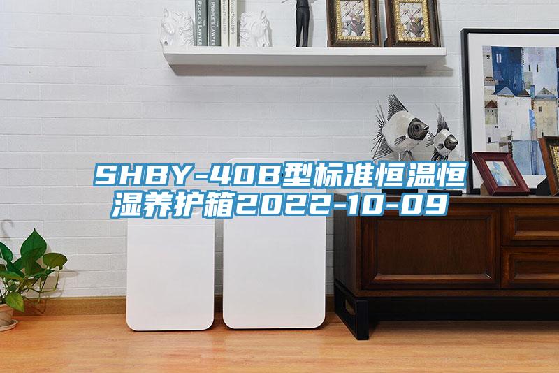 SHBY-40B型標(biāo)準(zhǔn)恒溫恒濕養(yǎng)護(hù)箱2022-10-09