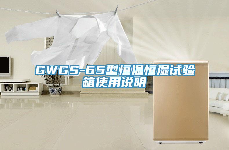 GWGS-65型恒溫恒濕試驗(yàn)箱使用說明