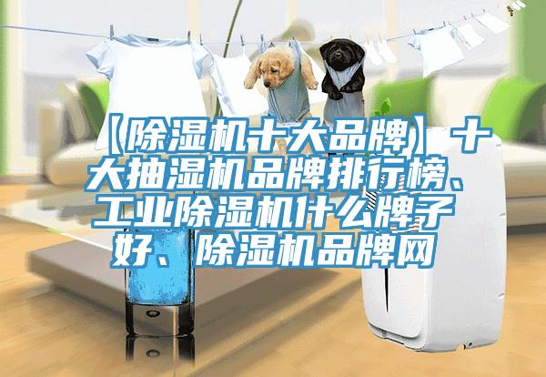 【除濕機十大品牌】十大抽濕機品牌排行榜、工業(yè)除濕機什么牌子好、除濕機品牌網(wǎng)