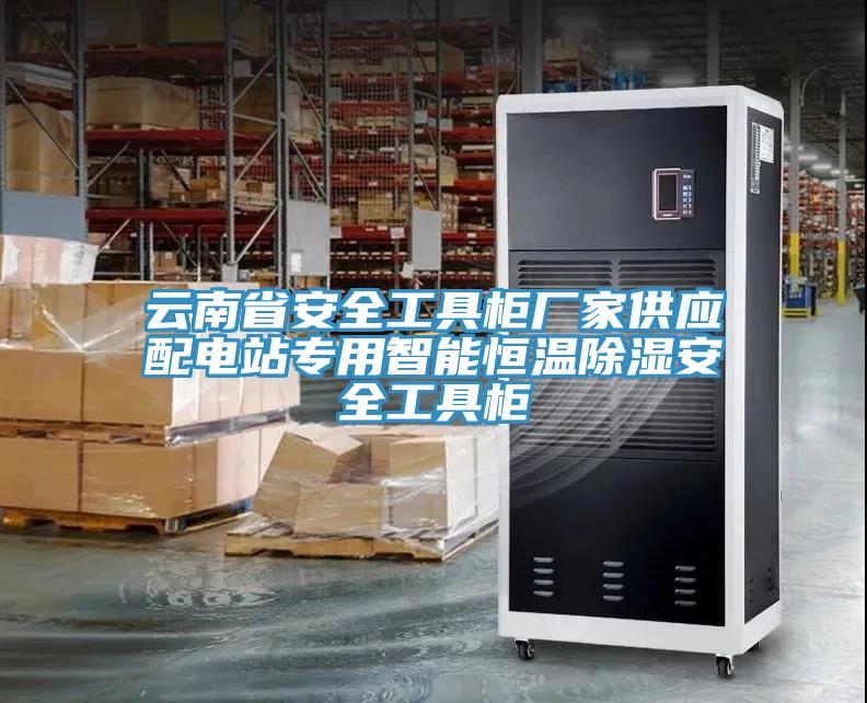 云南省安全工具柜廠家供應(yīng)配電站專用智能恒溫除濕安全工具柜