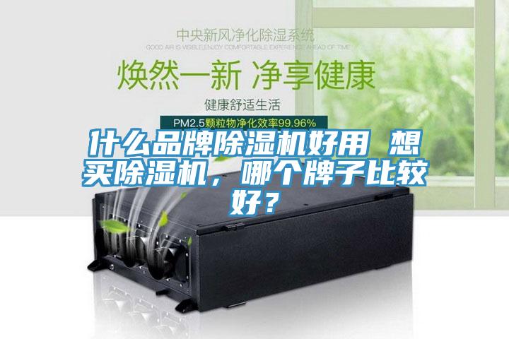 什么品牌除濕機好用 想買除濕機，哪個牌子比較好？