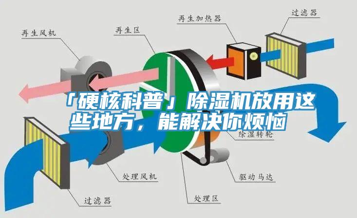 「硬核科普」除濕機放用這些地方，能解決你煩惱