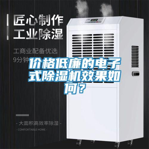 價格低廉的電子式除濕機效果如何？