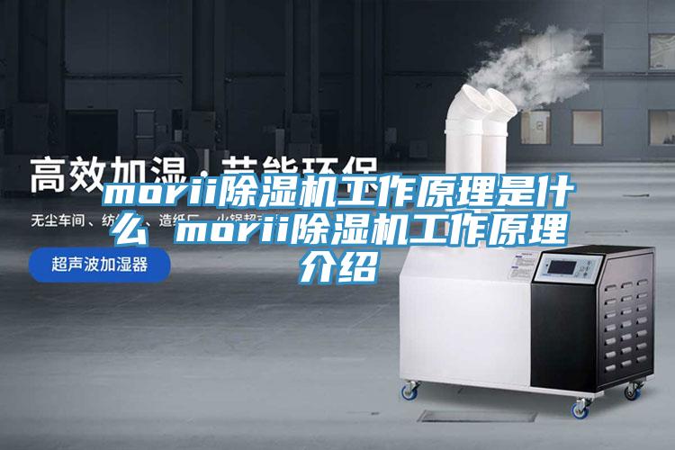 morii除濕機工作原理是什么 morii除濕機工作原理介紹