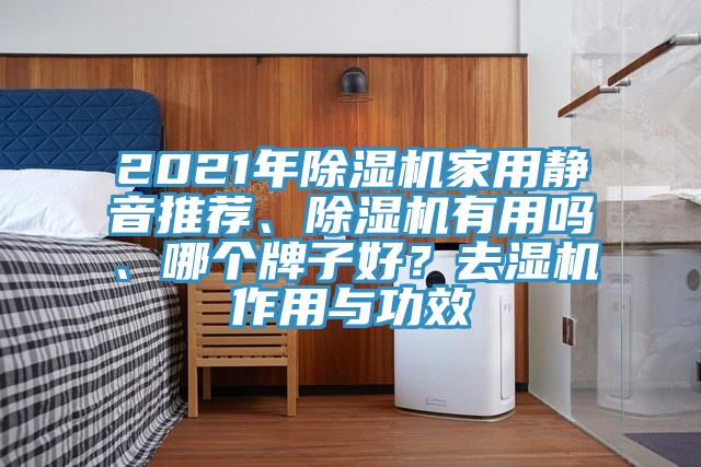 2021年除濕機(jī)家用靜音推薦、除濕機(jī)有用嗎、哪個牌子好？去濕機(jī)作用與功效