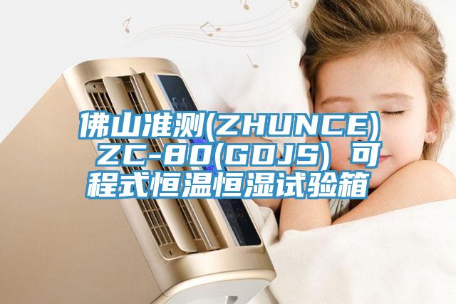 佛山準(zhǔn)測(ZHUNCE) ZC-80(GDJS) 可程式恒溫恒濕試驗(yàn)箱