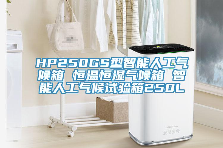 HP250GS型智能人工氣候箱 恒溫恒濕氣候箱 智能人工氣候試驗箱250L