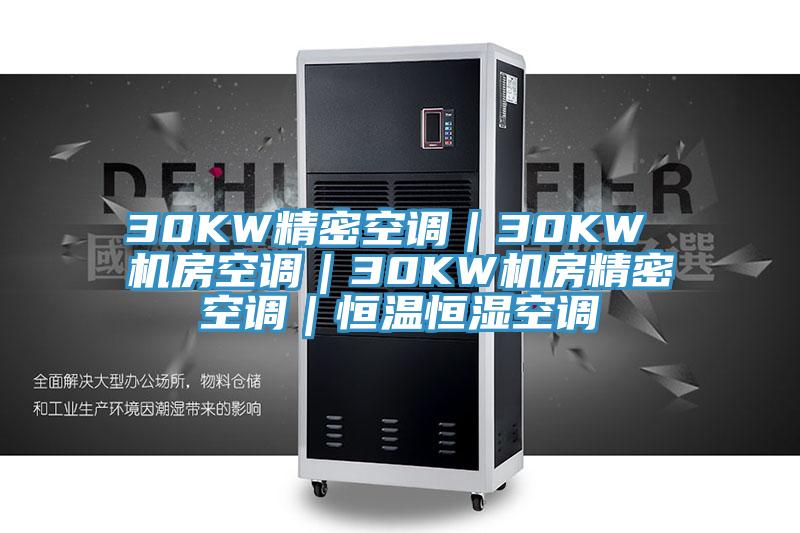 30KW精密空調(diào)｜30KW 機房空調(diào)｜30KW機房精密空調(diào)｜恒溫恒濕空調(diào)