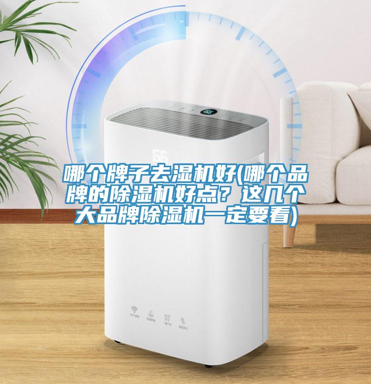 哪個牌子去濕機好(哪個品牌的除濕機好點？這幾個大品牌除濕機一定要看)