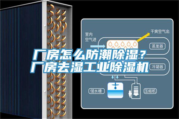 廠房怎么防潮除濕？廠房去濕工業(yè)除濕機