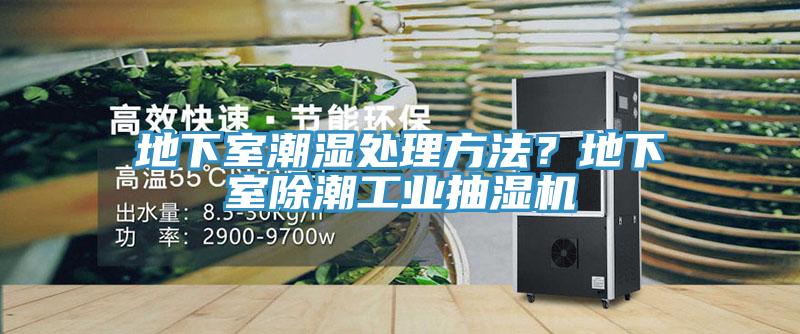 地下室潮濕處理方法？地下室除潮工業(yè)抽濕機(jī)