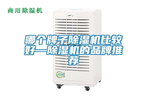 哪個牌子除濕機比較好—除濕機的品牌推薦