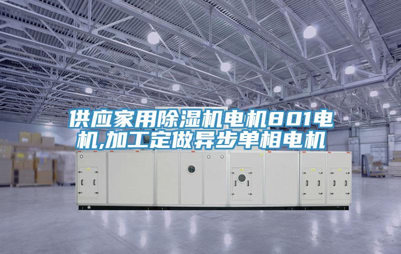 供應(yīng)家用除濕機電機801電機,加工定做異步單相電機