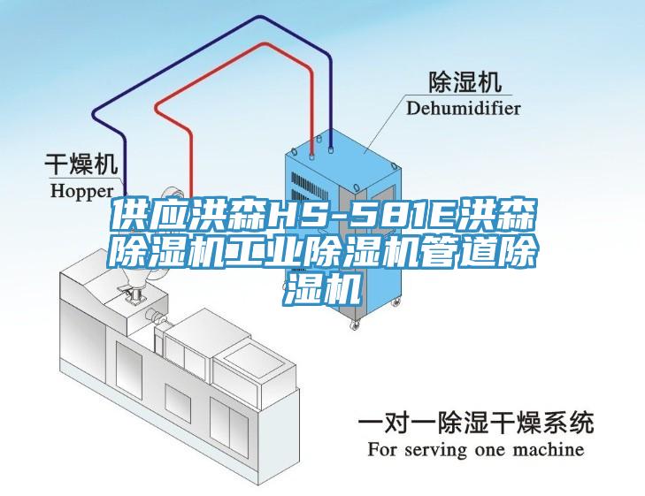 供應洪森HS-581E洪森除濕機工業(yè)除濕機管道除濕機