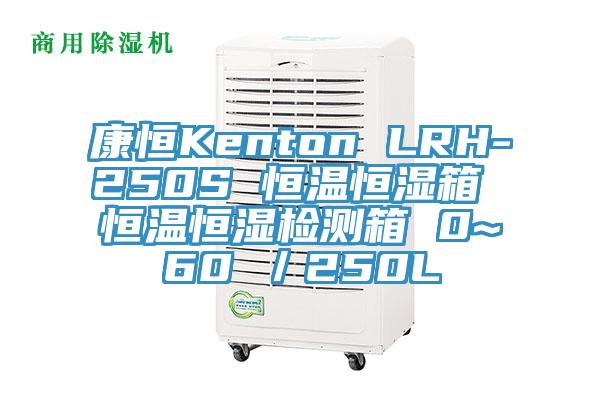 康恒Kenton LRH-250S 恒溫恒濕箱 恒溫恒濕檢測(cè)箱 0~60℃／250L