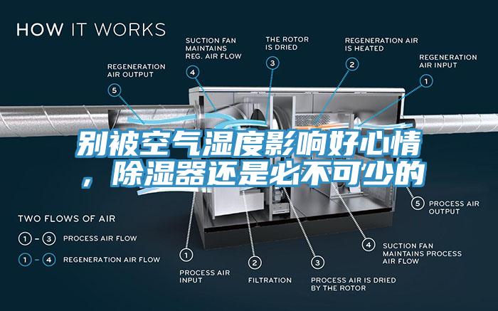 別被空氣濕度影響好心情，除濕器還是必不可少的