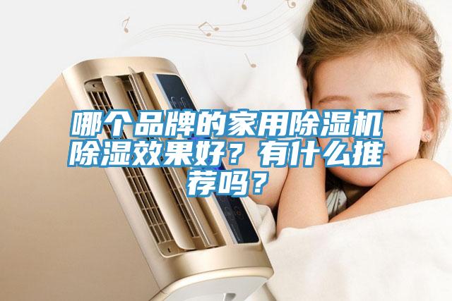 哪個品牌的家用除濕機除濕效果好？有什么推薦嗎？