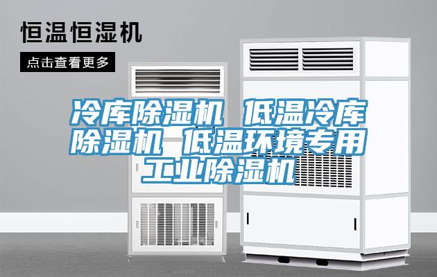 冷庫除濕機 低溫冷庫除濕機 低溫環(huán)境專用工業(yè)除濕機